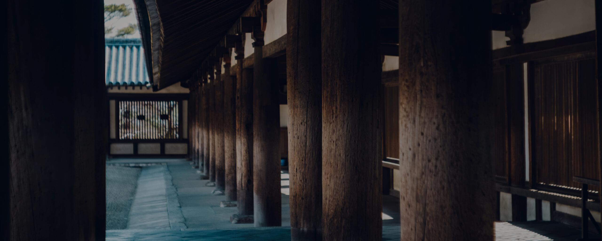 告知動画のサムネイル