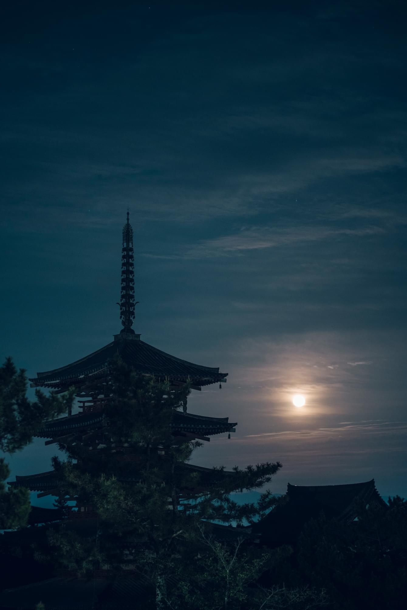 2024年 イメージ