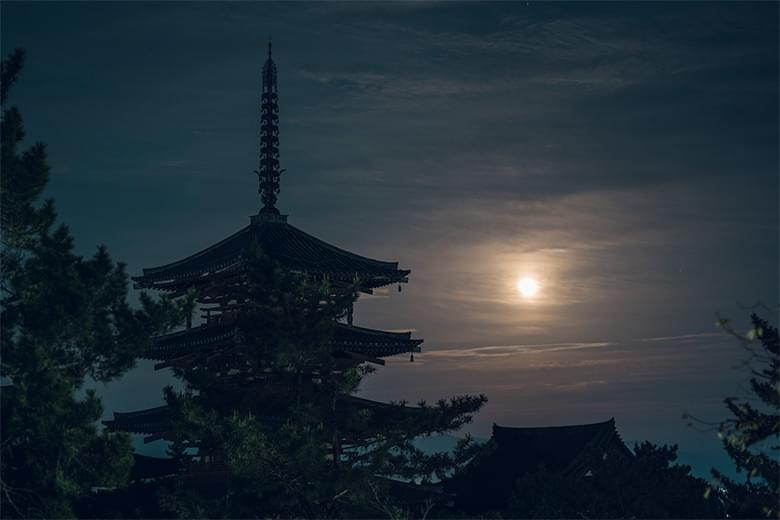 動画のサムネイル